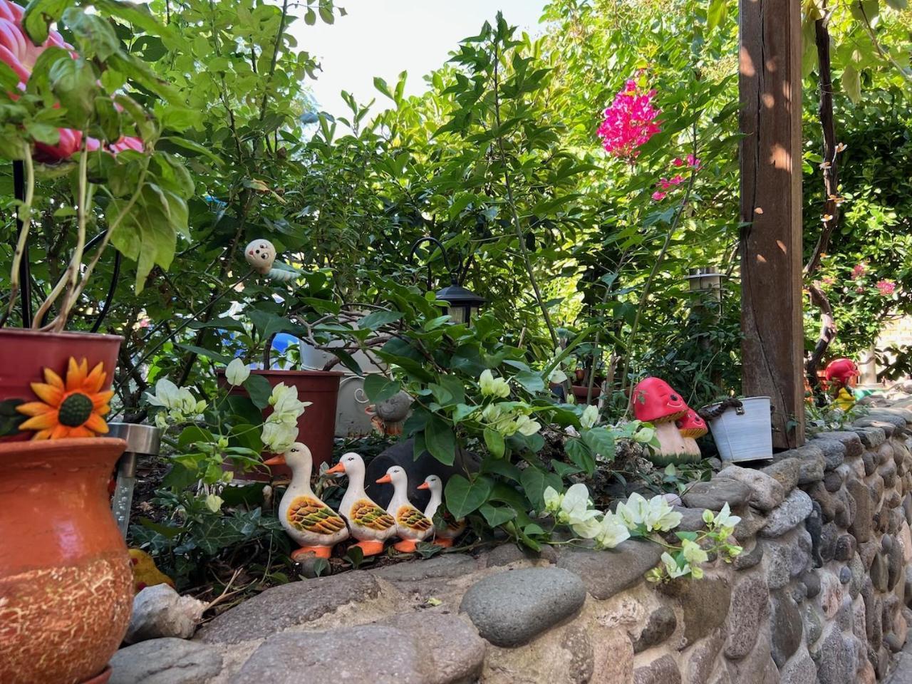 Family Hotel Emilia Sozopol Zewnętrze zdjęcie