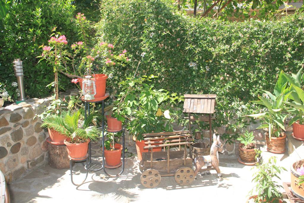 Family Hotel Emilia Sozopol Zewnętrze zdjęcie